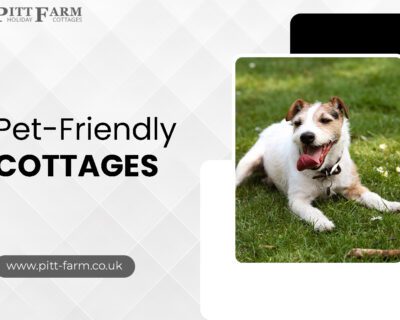 Pet-friendly-Cottages-near-South-Devon