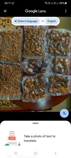COW/OX GALLOSTONES AVAILABLE FOR SALE IN ASIAN MARKETS +27720748505