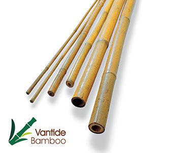 3.-Bamboo-Cane-Detail