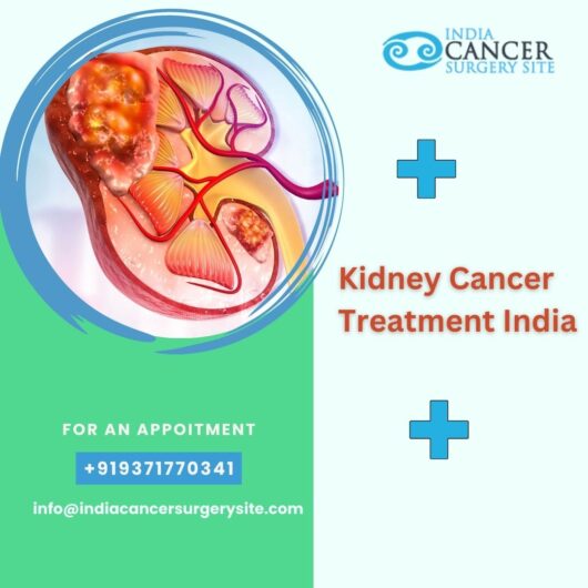 Best Kidney Cancer Treatment India