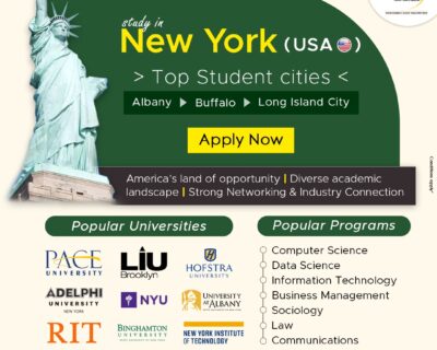 USA-SEO