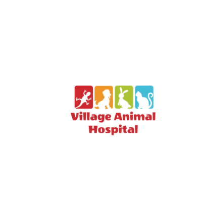 Village Animal Hospital | V-a-h.com