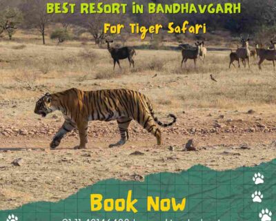 best-resort-in-bandhavgar-for-tiger-safari
