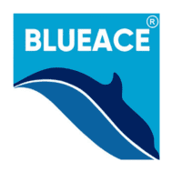 blueace-Logo