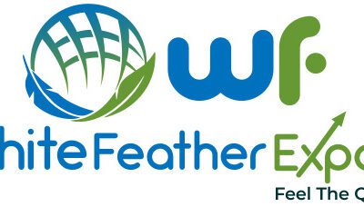 white-Feather-Export-logo-01