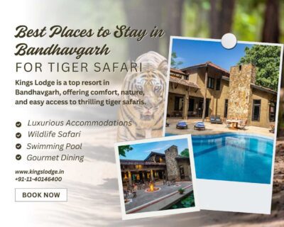 best-places-to-stay-in-bandhavgarh-for-tiger-safari