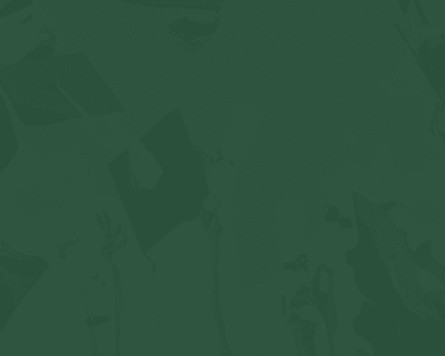 bestassignmenthelpau-banner