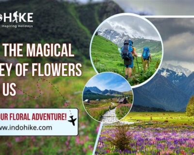 valley-of-flowers-2