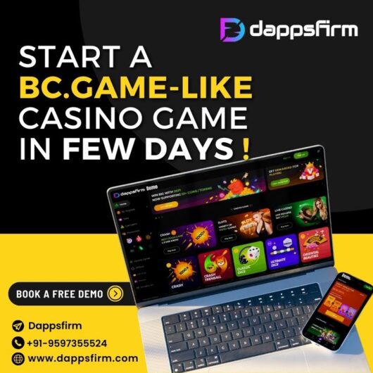 Establish Your Crypto Casino in Weeks with BC.Game Clone Software