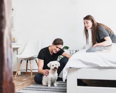 pet-friendly-apartment