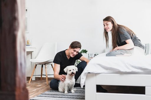 Modern Living with Pet Friendly Apartments in Kansas City