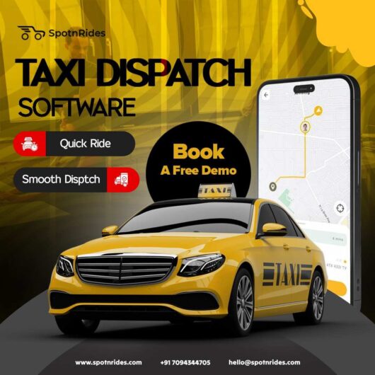 Will Your Taxi Business Stay Competitive in 2025?