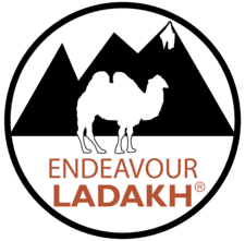 LOGO_NEW