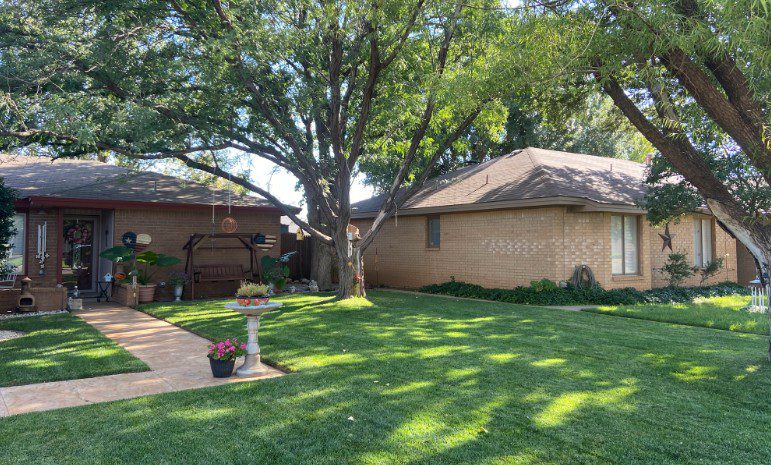 Expert Lawn Mowing Services in Lubbock for a Perfect Yard