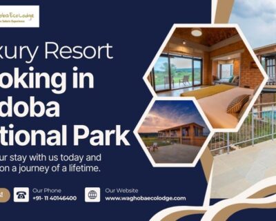 luxury-resort-booking-in-tadoba-national-park