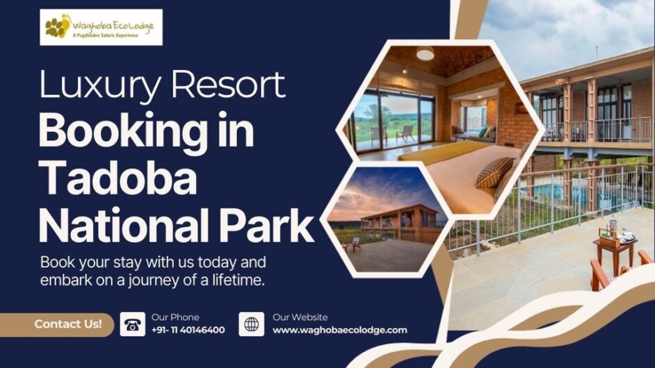 Luxury Resort Booking in Tadoba National Park
