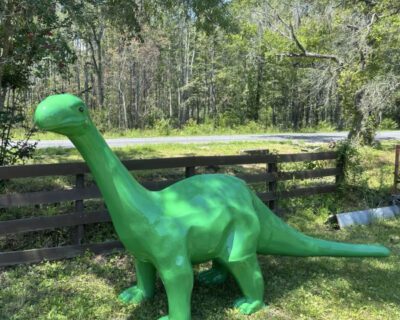 343d62db-ce15-5c48-8ef8-561f859081ae-1-600×600-1