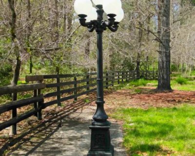 9.5-Ft-5-Arm-Victorian-Pole-Light-for-Commercial-or-Residential-Use-1-600×600-1