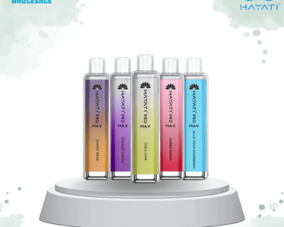 Hayati_Pro_Max_4000_Puffs_Disposable_Vape_Box_of_10