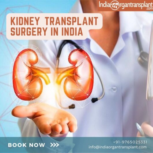 Kidney Transplant Price in India