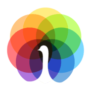 Peafowl-IT-Solution