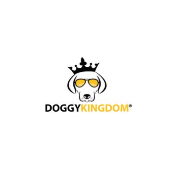 Explore Premium Dog Accessories Online for Every Need