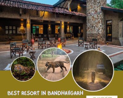 best-resort-in-bandhavgarh-for-tiger-sighting