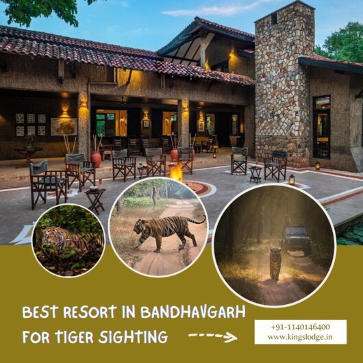Best Resort in Bandhavgarh for Tiger Sighting