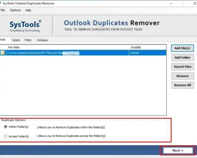 duplicate-options-1
