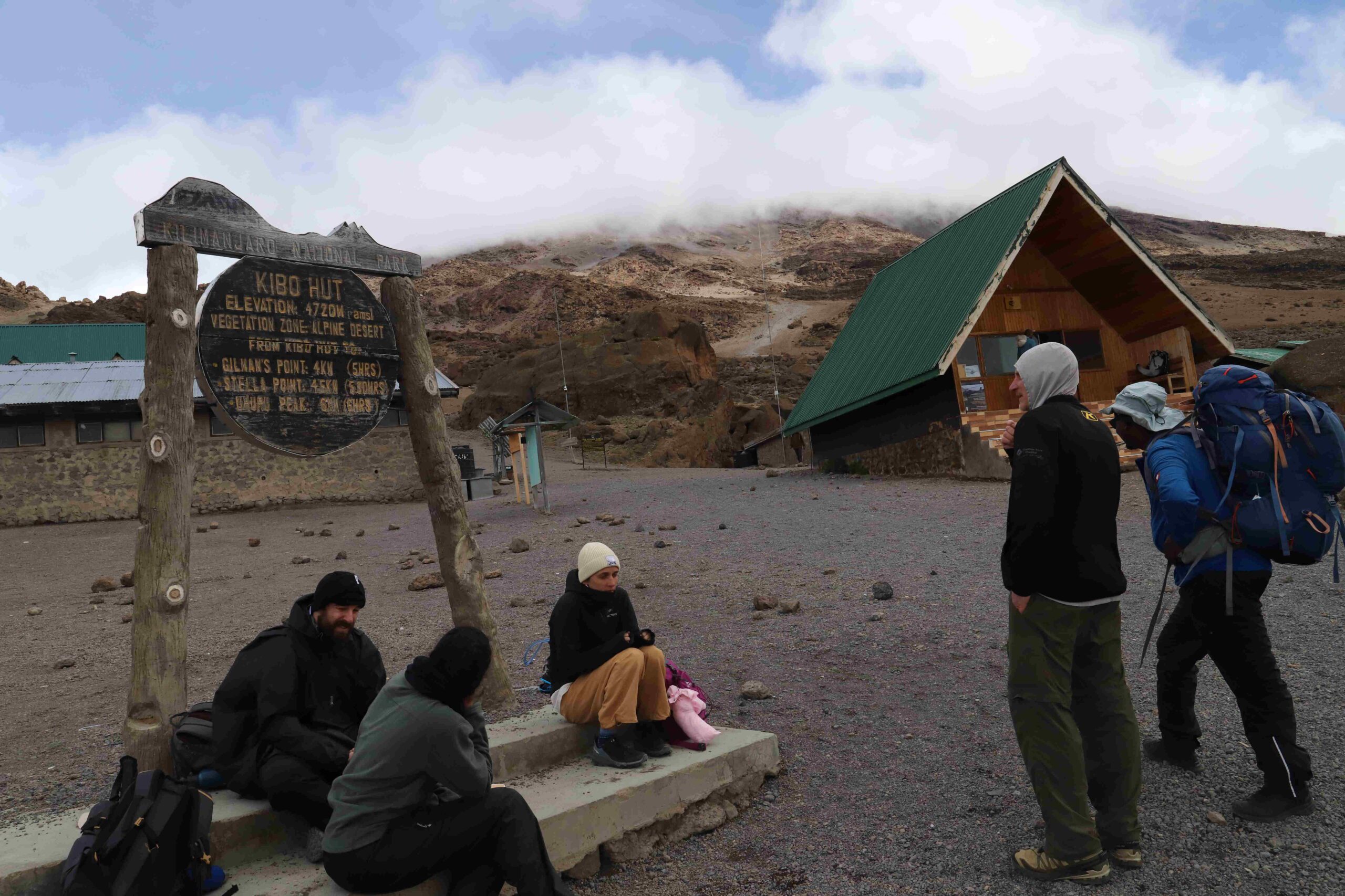 Unforgettable Adventure with Tanzania Wildlife Safari