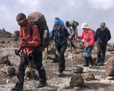 133091765-691×861-1