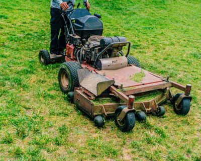 2161399157-1536×1024-2