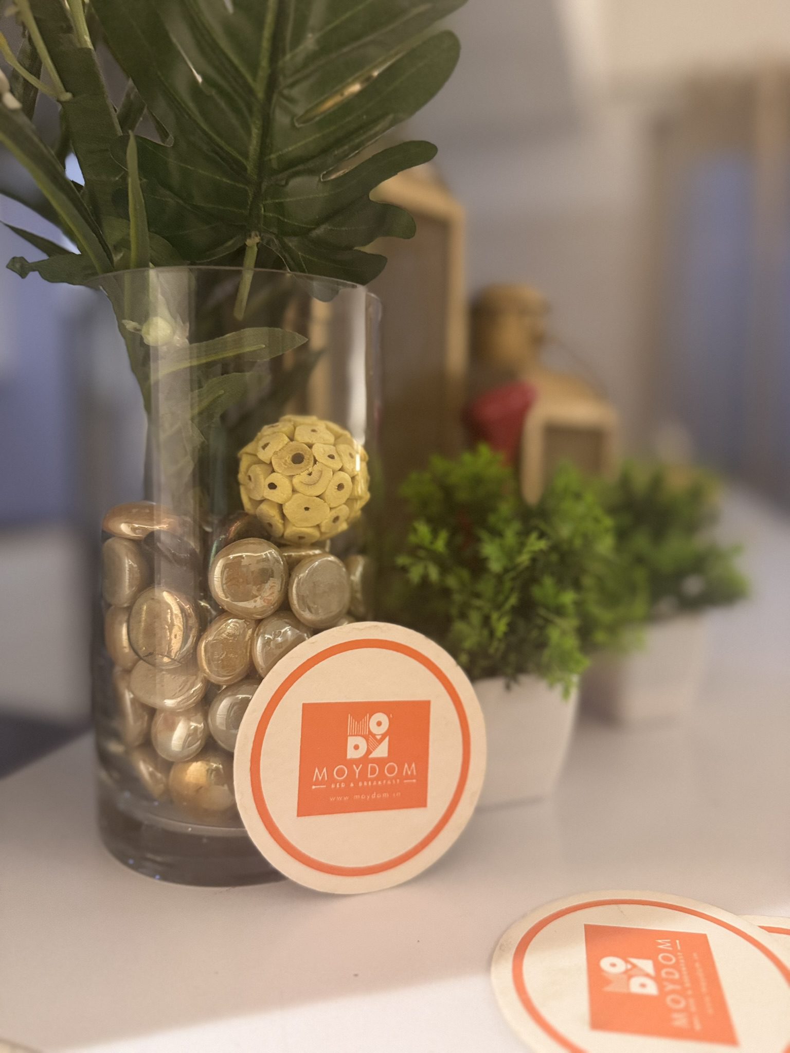 Moydom Boutique Bed & Breakfast New Delhi | Homestay,Holiday Rentals