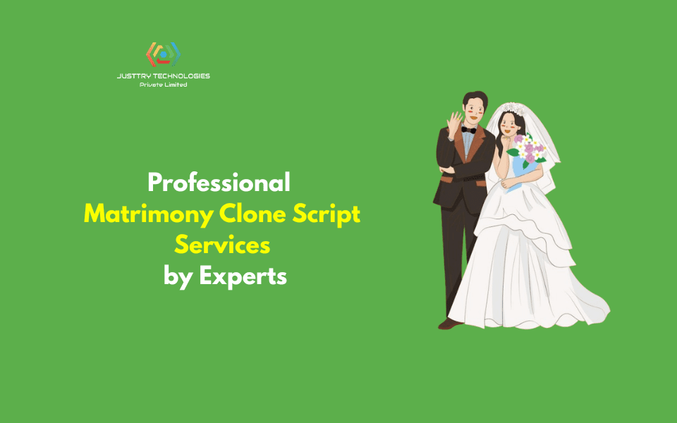 Professional Matrimony Clone Script Services by Experts