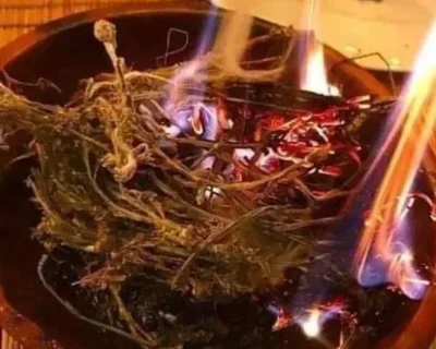 powerful-traditional-healers