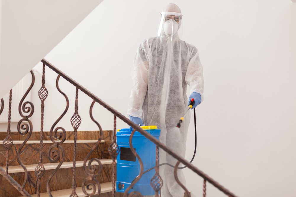 Understanding Mold Remediation in Tacoma, WA