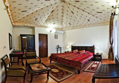 299992119_185484403859915_770286636553926747_n-400×280-1