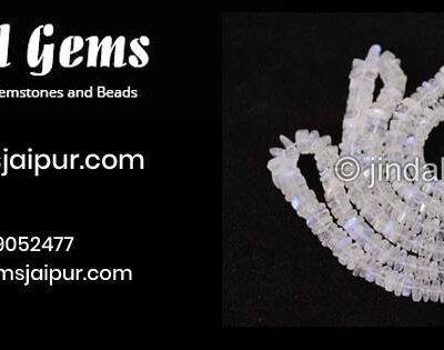 476248031_1065353542271081_3607257389318400041_n