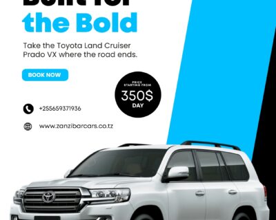 556025704_1286499626823153_4398106713260932163_n