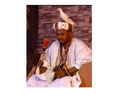 8460737916205-317×400-1