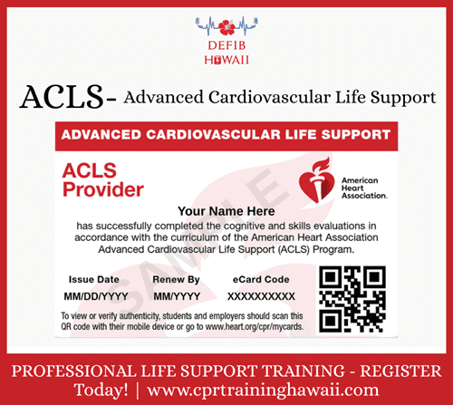 ACLS Class for Medical Professionals – Hawaii Training Center Program
