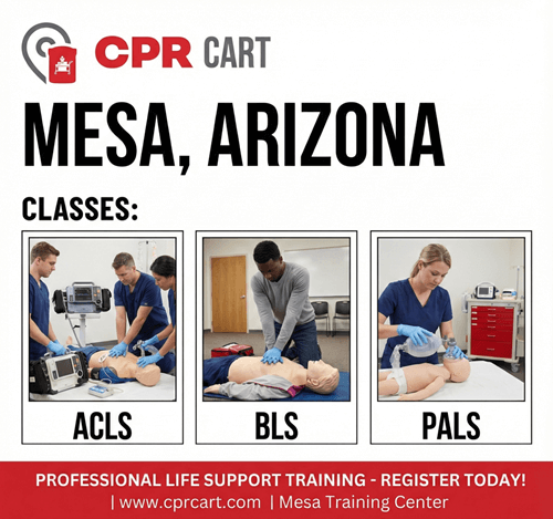 AHA CPR Certification in Mesa – Easy Online Training + Quick Skills