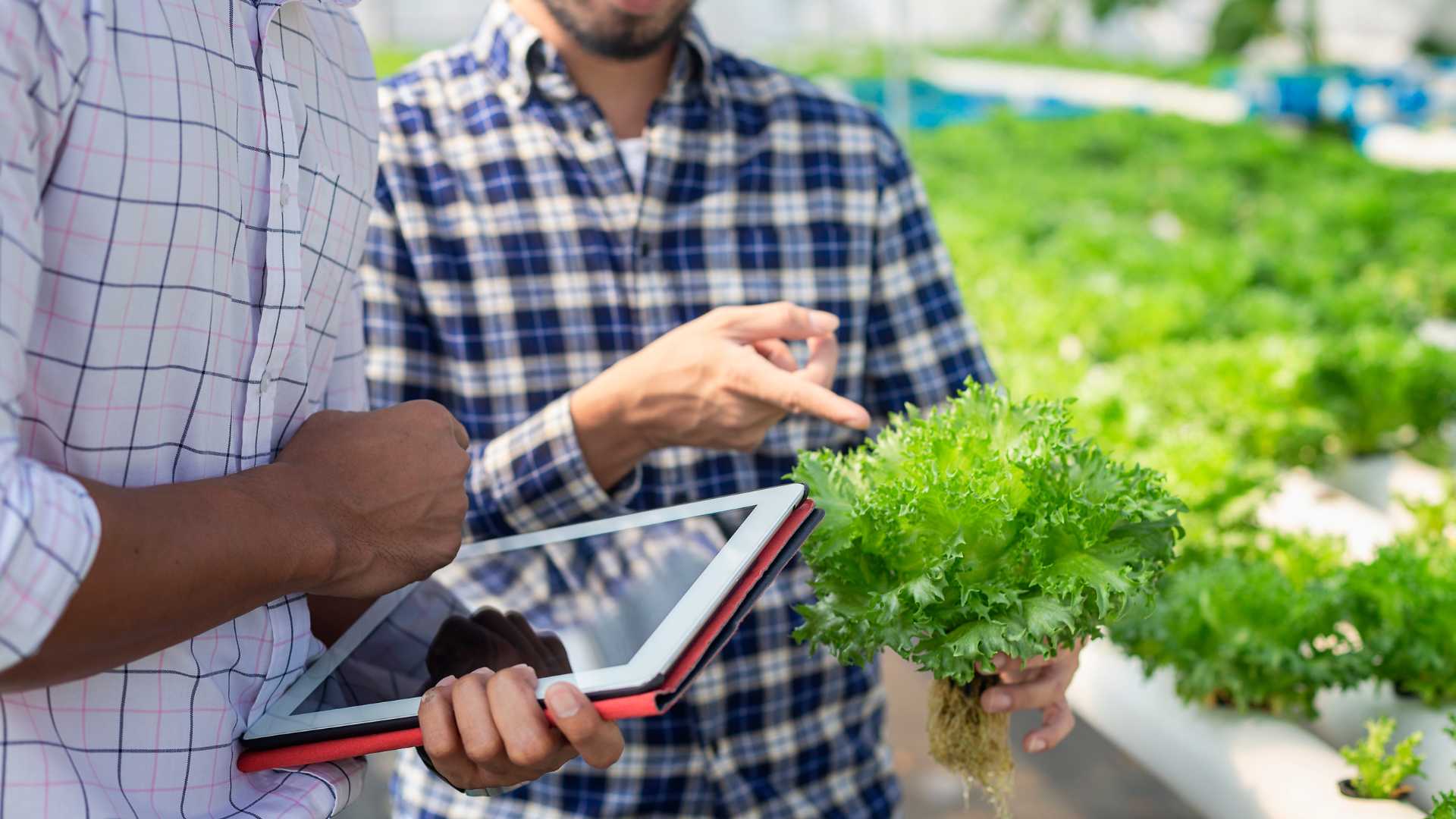 Buy Greenhouse Software