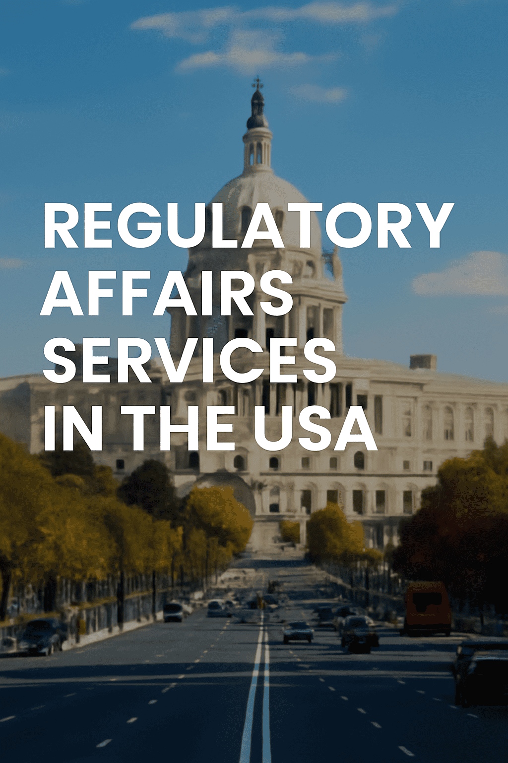 FDA Regulatory Consultant in USA