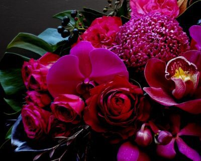 Screenshot-2025-05-29-123159