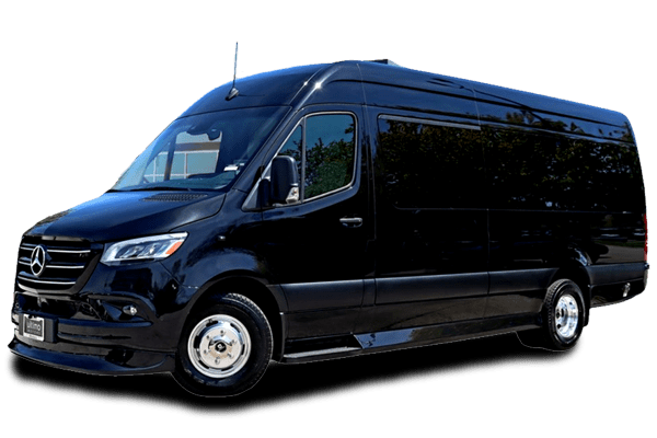 Luxury Private Minibus Service in Punta Cana