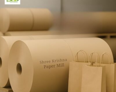 carry-bag-paper-manufacturers