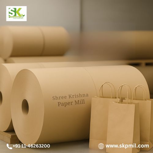 Trusted Carry Bag Paper Manufacturers | High-Quality & Eco-Friendly