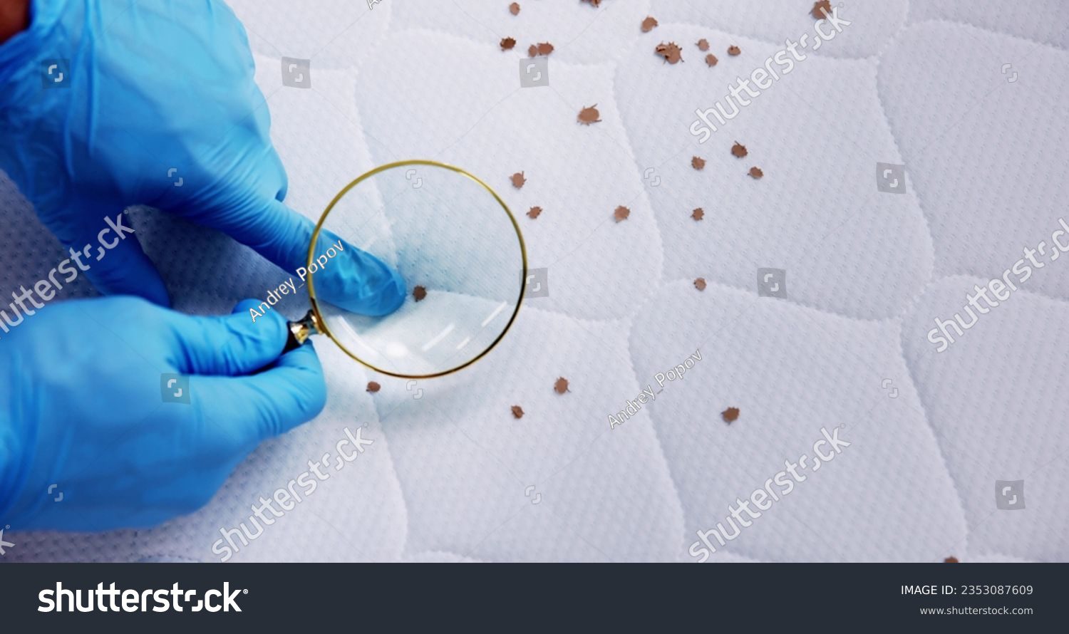 Perfect Pest Control LLC