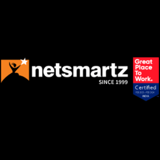 net_smartz_logo
